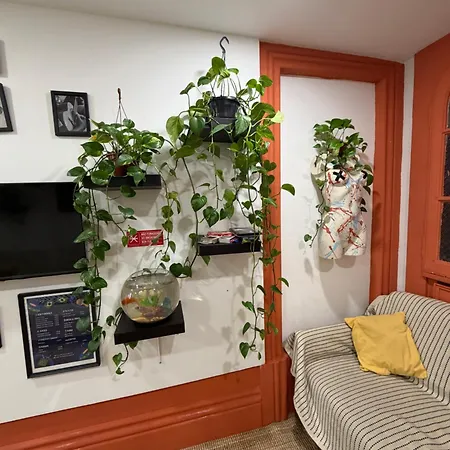 Hostel Guest World *